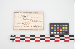 Etikett zu Schleifstein (NHMW-PRAE-025992)